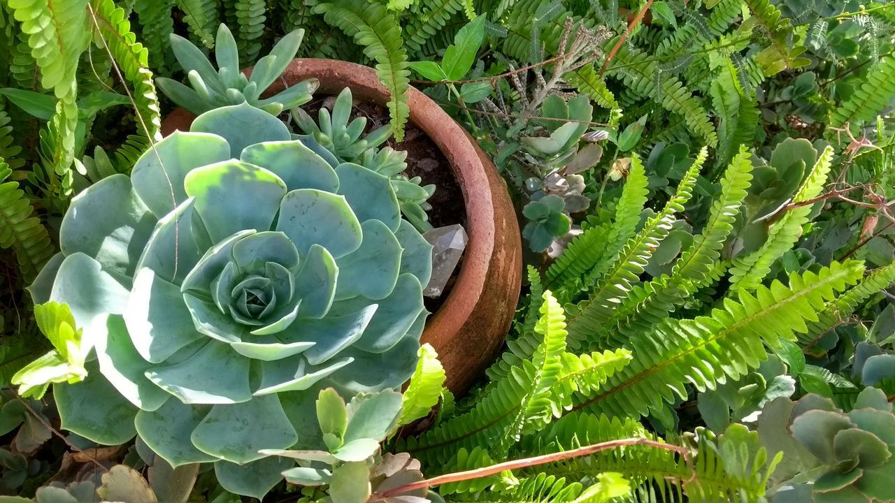 Pousada Refazenda - Milho Verde Esterno foto